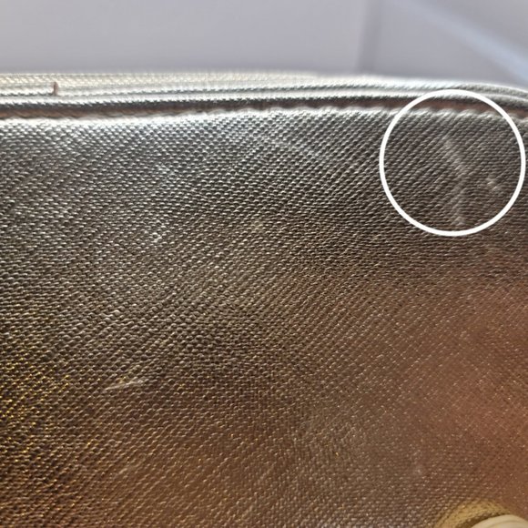 GOLD ROSES COLORED Cosmetics TRAVELING TRAIN CASE - Picture 6 of 11